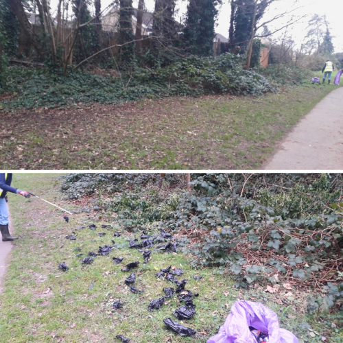 Dog poo waste bags found - January