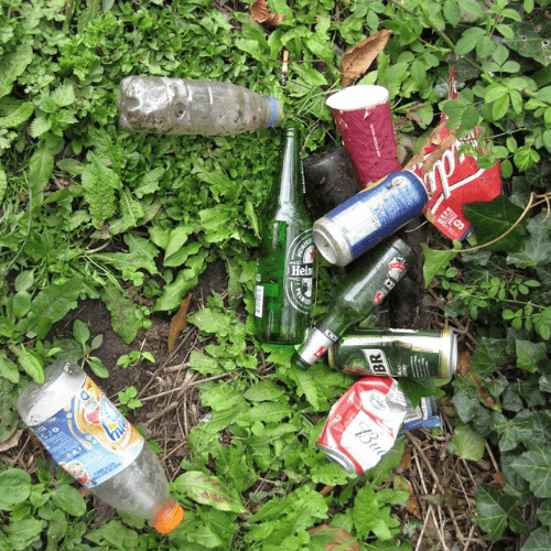Collection of disposed bottles and cans