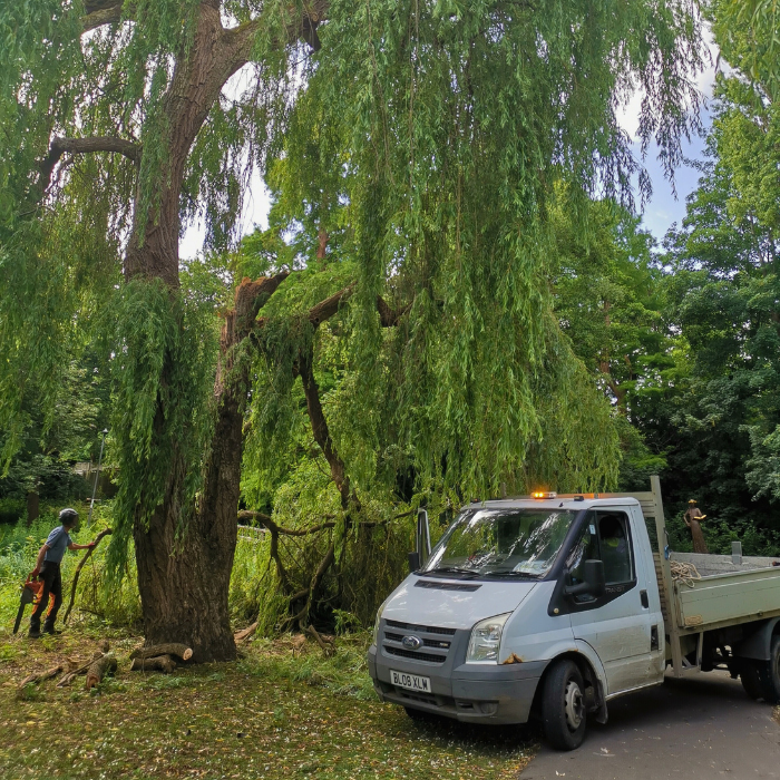 Newsletter June 2025