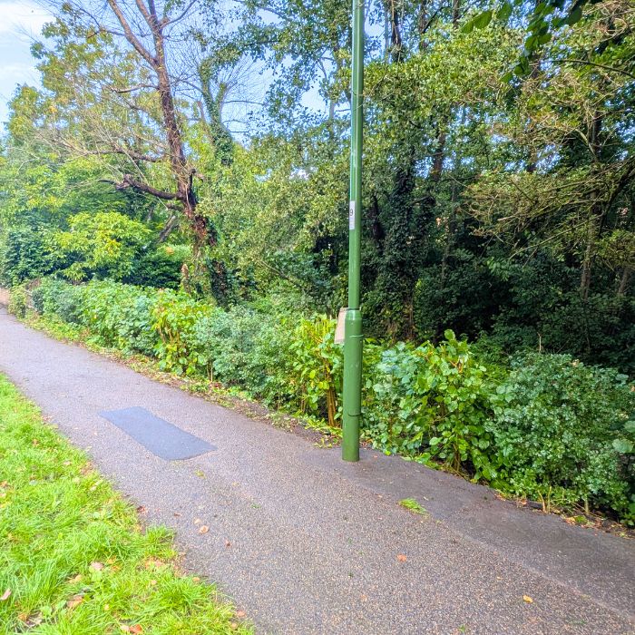 Newsletter September