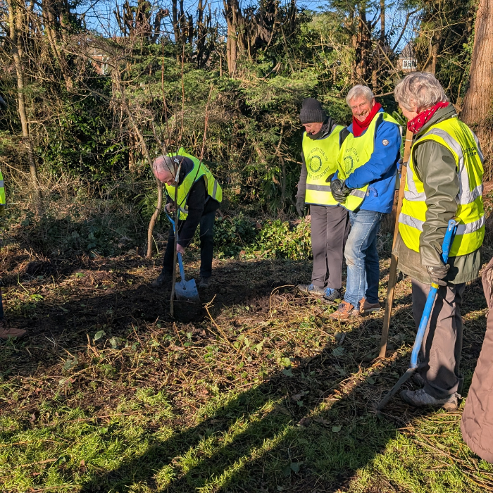 Newsletter January 2026