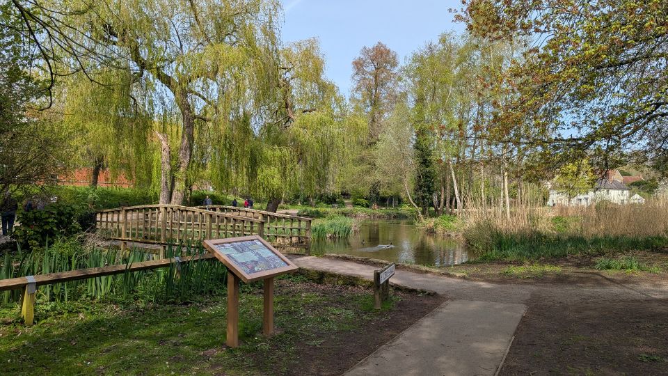 South Pond Group_Interpretation Boards_Unveil 2026_Ancient Woodland