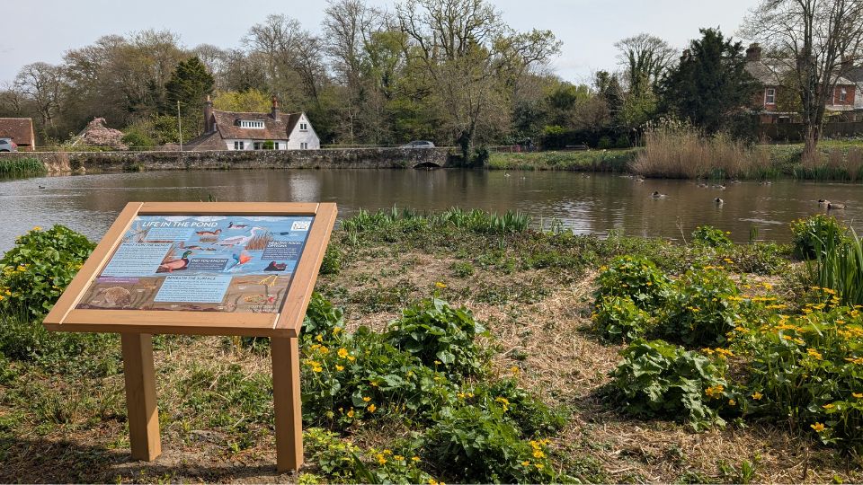South Pond Group_Interpretation Boards_Unveil 2026_Life in the pond